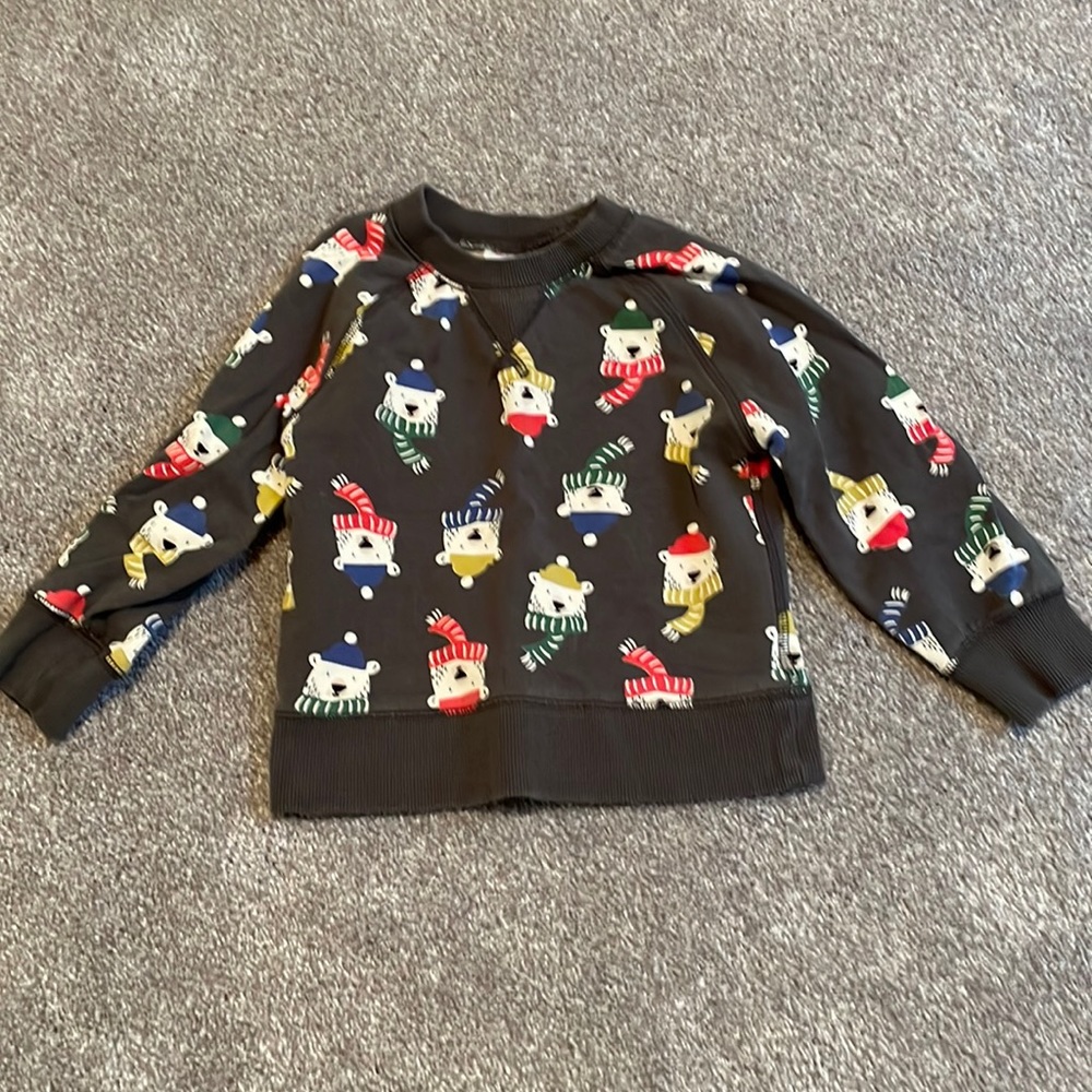 Hanna Andersson Polar Bear Sweatshirt